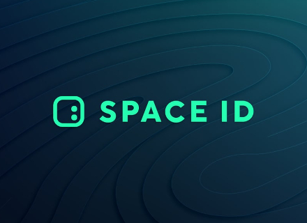 <b>数据解读：什么样的域名在SPACE ID上更受欢迎？</b>