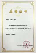 王鸿宾教授荣获“2022中国元宇宙创新应用大赛”特别贡献奖